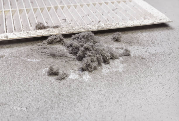 Best Home Air Vent Cleaning  in Truth Or Consequences, NM